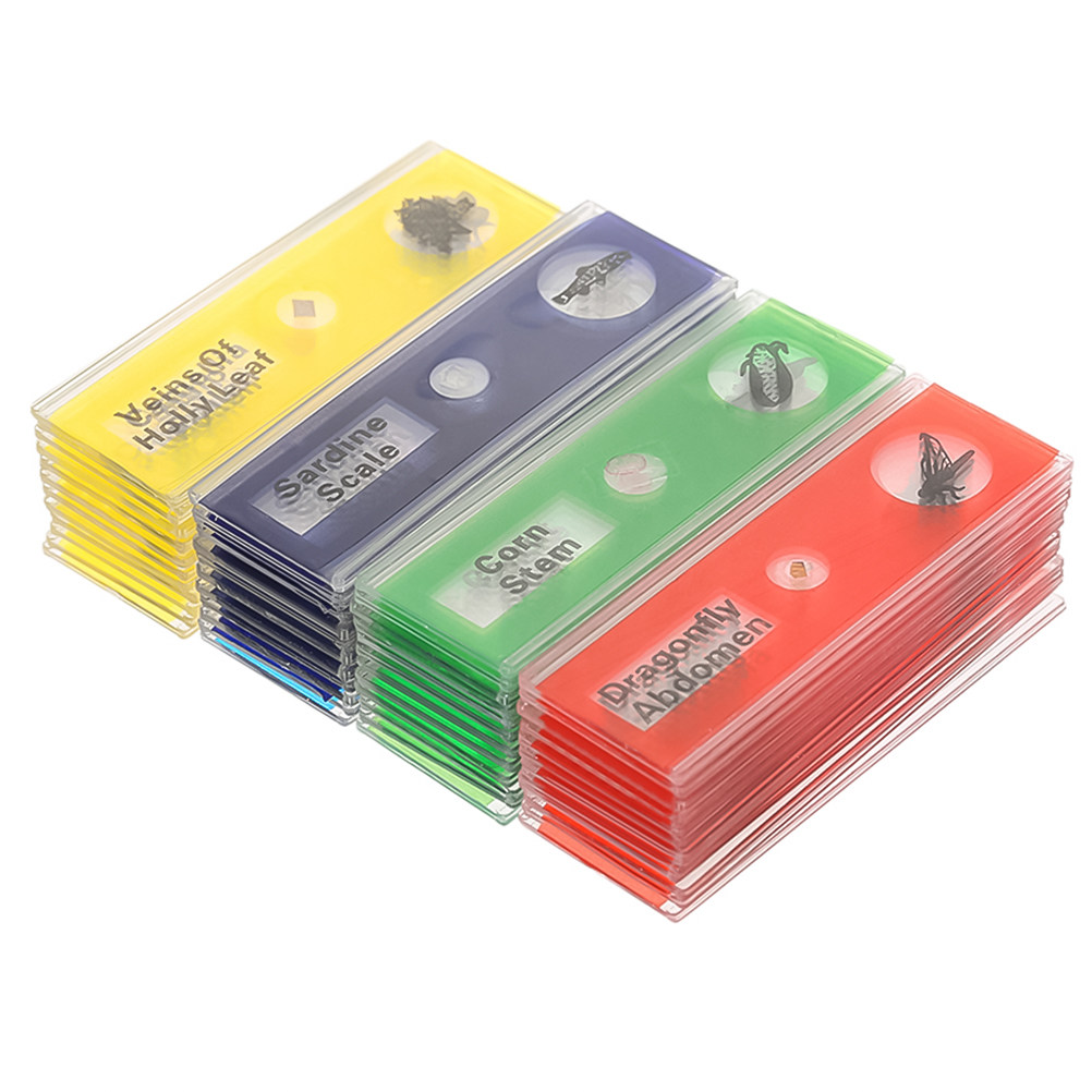 Kids Education Name - 24Pcs Plastic Biological Microscope Slides Set
