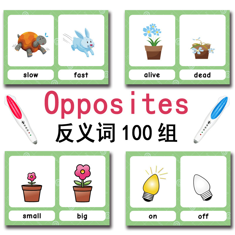 The 100 Groups Opposites Flash - Kids Education Product ulasan dan harga