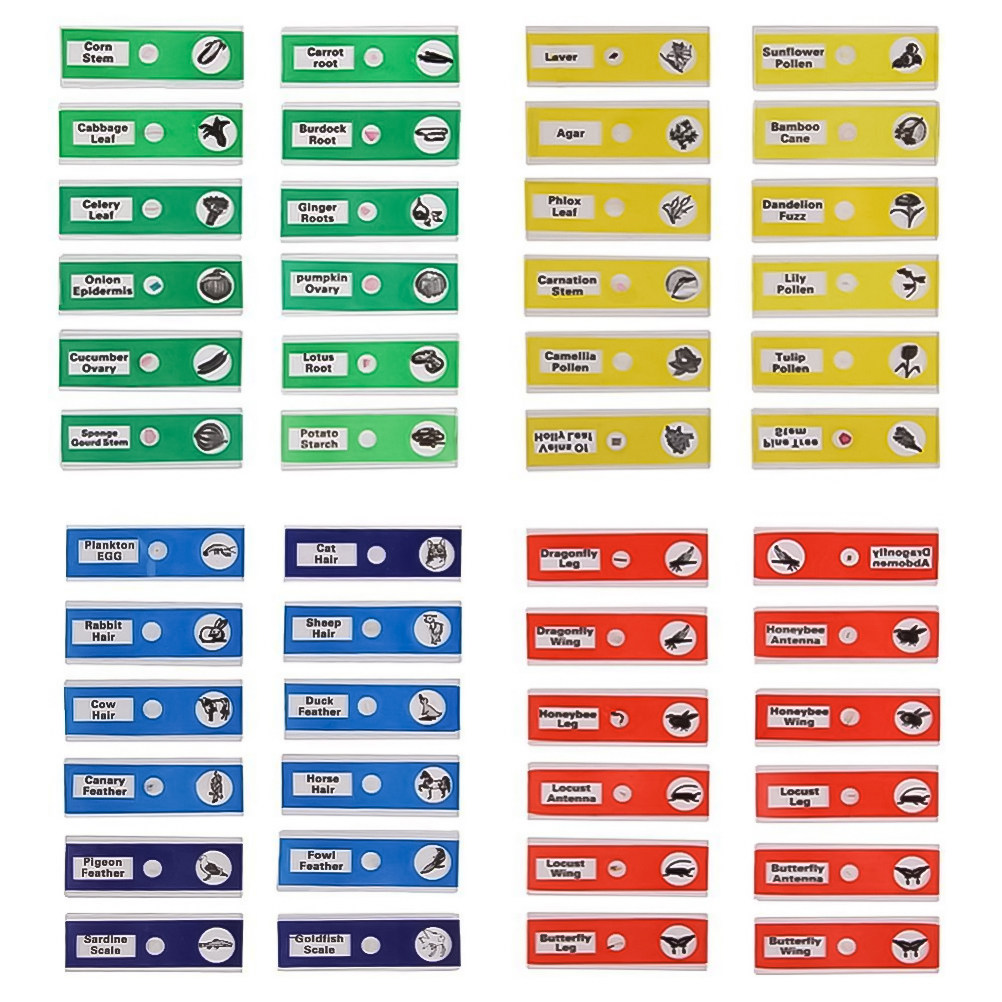 24Pcs Plastic Biological Micro - Kids Education Name ulasan dan harga