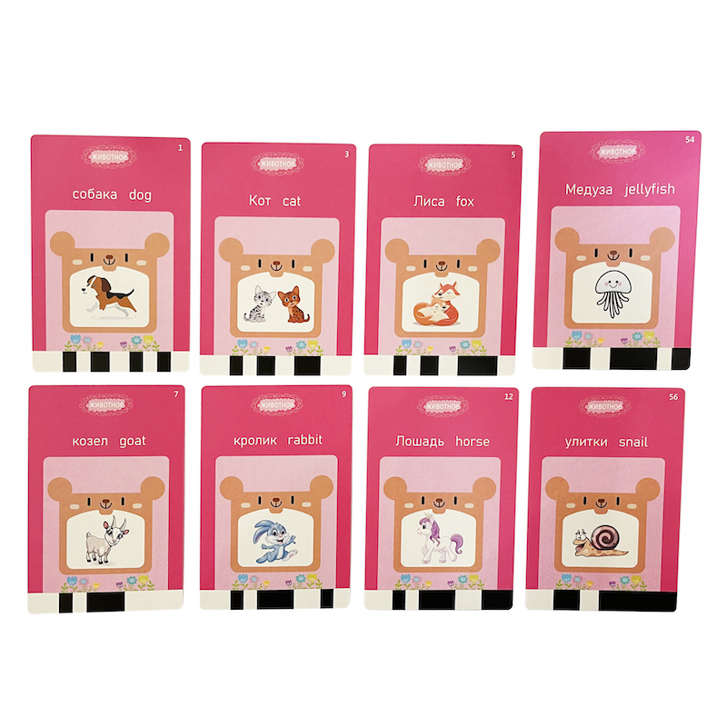 Russian English Taking Flash C - Flash Card Alphabet ulasan dan harga